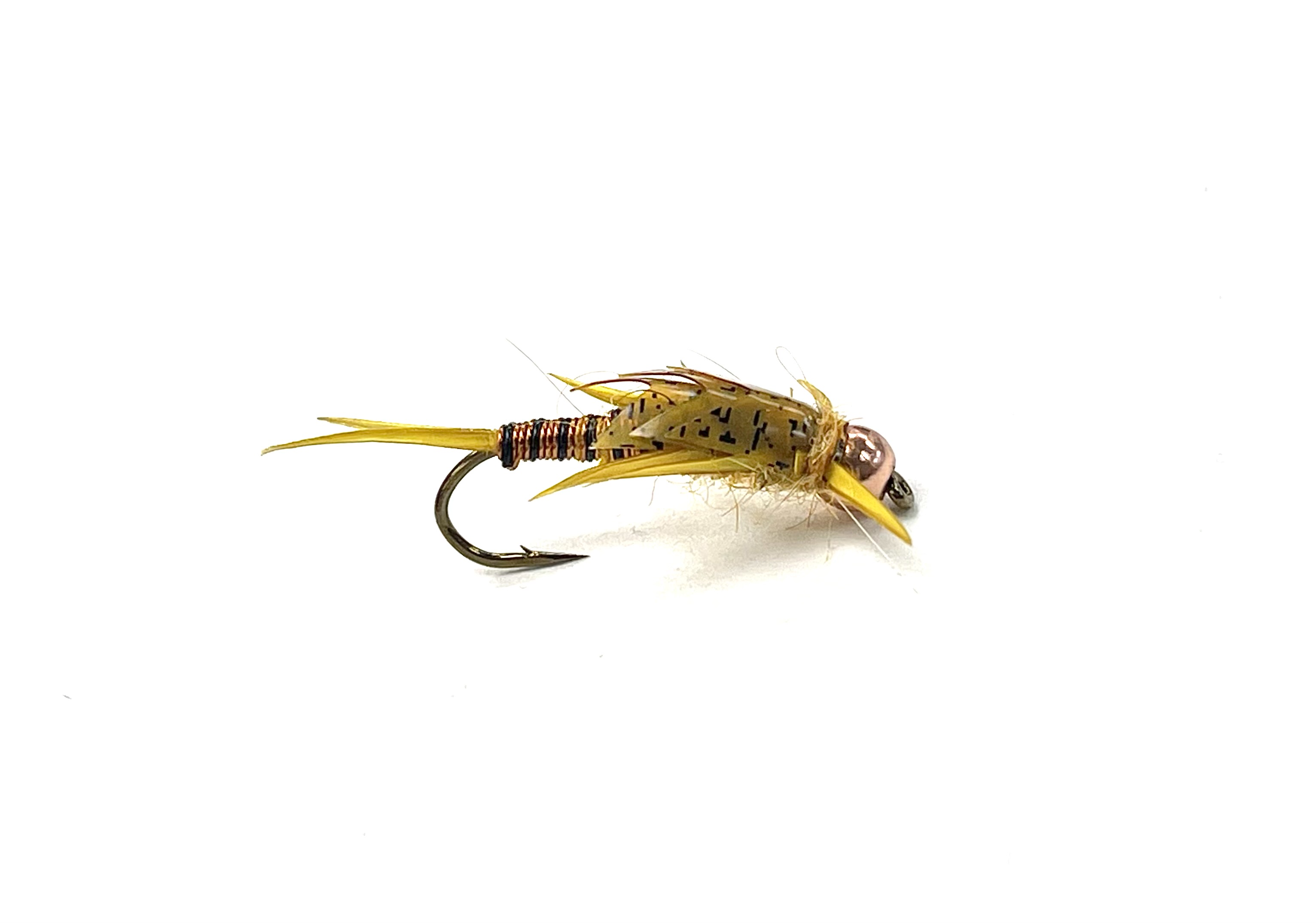 Black & Copper Stonefly